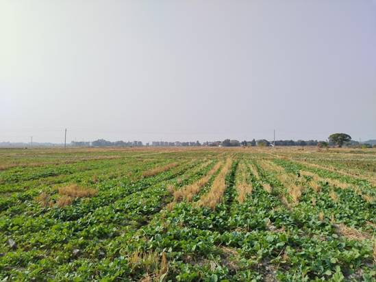 微信图片_20221113162021